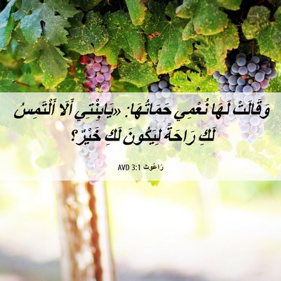 Picture 06 - رَاعُوث 3:1 AVD - وَقَالَتْ لَهَا نُعْمِي - Bible Verse Picture