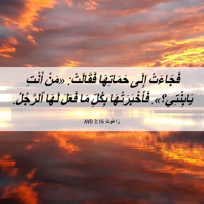 Picture 06 - رَاعُوث 3:16 AVD - فَجَاءَتْ إِلَى - Bible Verse Picture