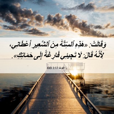 Picture 06 - رَاعُوث 3:17 AVD - وَقَالَتْ: «هَذِهِ - Bible Verse Picture