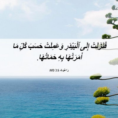 Picture 06 - رَاعُوث 3:6 AVD - فَنَزَلَتْ إِلَى - Bible Verse Picture