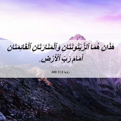Picture 06 - رُؤيا 11:4 AVD - هَذَانِ هُمَا - Bible Verse Picture