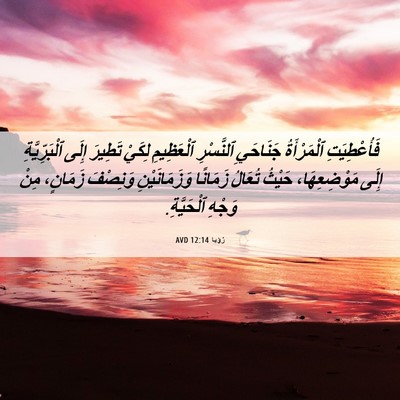 Picture 06 - رُؤيا 12:14 AVD - فَأُعْطِيَتِ ٱلْمَرْأَةُ - Bible Verse Picture