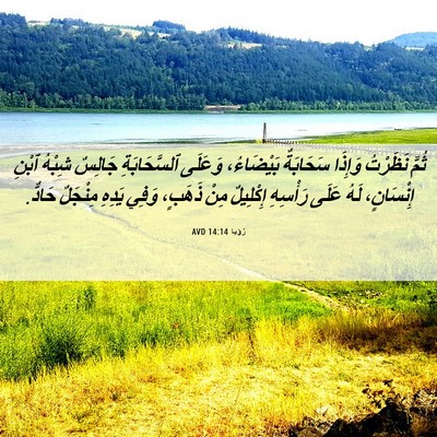 Picture 06 - رُؤيا 14:14 AVD - ثُمَّ نَظَرْتُ وَإِذَا - Bible Verse Picture