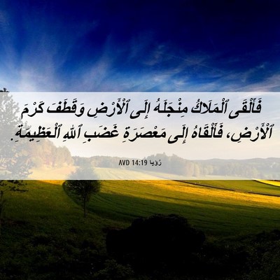Picture 06 - رُؤيا 14:19 AVD - فَأَلْقَى ٱلْمَلَاكُ - Bible Verse Picture
