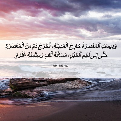 Picture 06 - رُؤيا 14:20 AVD - وَدِيسَتِ ٱلْمَعْصَرَةُ - Bible Verse Picture