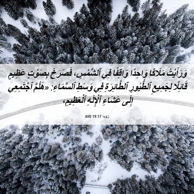 Picture 06 - رُؤيا 19:17 AVD - وَرَأَيْتُ مَلَاكًا - Bible Verse Picture