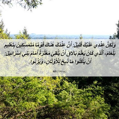 Picture 06 - رُؤيا 2:14 AVD - وَلَكِنْ عِنْدِي عَلَيْكَ - Bible Verse Picture