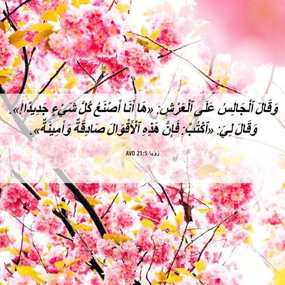 Picture 06 - رُؤيا 21:5 AVD - وَقَالَ ٱلْجَالِسُ عَلَى - Bible Verse Picture