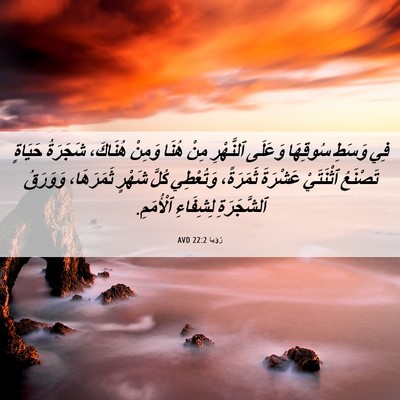 Picture 06 - رُؤيا 22:2 AVD - فِي وَسَطِ سُوقِهَا - Bible Verse Picture