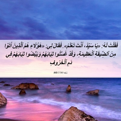 Picture 06 - رُؤيا 7:14 AVD - فَقُلْتُ لَهُ: «يَا - Bible Verse Picture