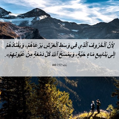 Picture 06 - رُؤيا 7:17 AVD - لِأَنَّ ٱلْخَرُوفَ - Bible Verse Picture