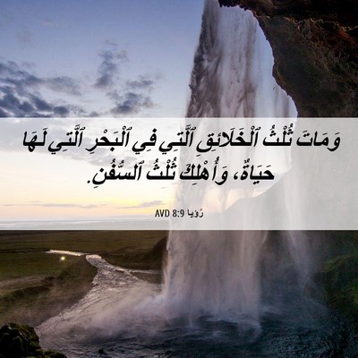 Picture 06 - رُؤيا 8:9 AVD - وَمَاتَ ثُلْثُ - Bible Verse Picture