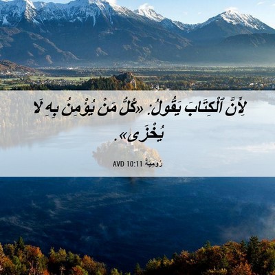 Picture 06 - رُومِيَةَ 10:11 AVD - لِأَنَّ ٱلْكِتَابَ - Bible Verse Picture