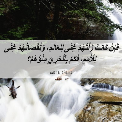Picture 06 - رُومِيَةَ 11:12 AVD - فَإِنْ كَانَتْ - Bible Verse Picture