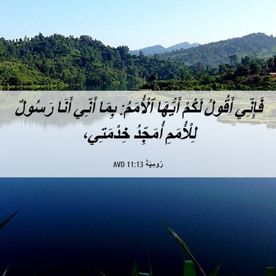 Picture 06 - رُومِيَةَ 11:13 AVD - فَإِنِّي أَقُولُ لَكُمْ - Bible Verse Picture