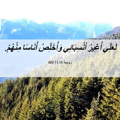 Picture 06 - رُومِيَةَ 11:14 AVD - لَعَلِّي أُغِيرُ - Bible Verse Picture