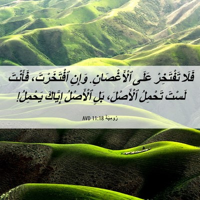 Picture 06 - رُومِيَةَ 11:18 AVD - فَلَا تَفْتَخِرْ عَلَى - Bible Verse Picture