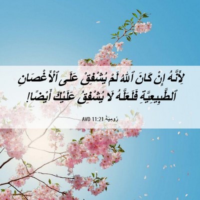 Picture 06 - رُومِيَةَ 11:21 AVD - لِأَنَّهُ إِنْ كَانَ ٱللهُ - Bible Verse Picture