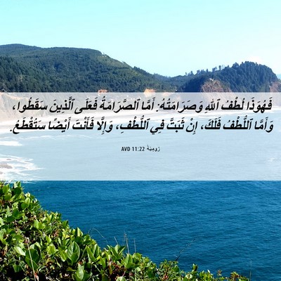 Picture 06 - رُومِيَةَ 11:22 AVD - فَهُوَذَا لُطْفُ ٱللهِ - Bible Verse Picture