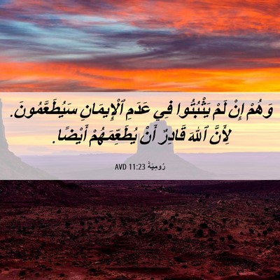 Picture 06 - رُومِيَةَ 11:23 AVD - وَهُمْ إِنْ لَمْ - Bible Verse Picture