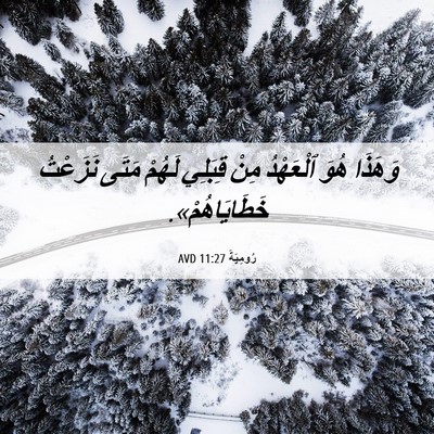 Picture 06 - رُومِيَةَ 11:27 AVD - وَهَذَا هُوَ ٱلْعَهْدُ - Bible Verse Picture