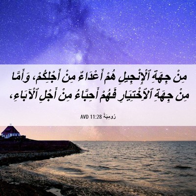 Picture 06 - رُومِيَةَ 11:28 AVD - مِنْ جِهَةِ ٱلْإِنْجِيلِ - Bible Verse Picture