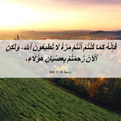 Picture 06 - رُومِيَةَ 11:30 AVD - فَإِنَّهُ كَمَا كُنْتُمْ - Bible Verse Picture