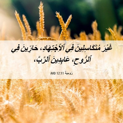 Picture 06 - رُومِيَةَ 12:11 AVD - غَيْرَ مُتَكَاسِلِينَ فِي - Bible Verse Picture