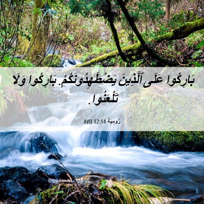Picture 06 - رُومِيَةَ 12:14 AVD - بَارِكُوا عَلَى ٱلَّذِينَ - Bible Verse Picture