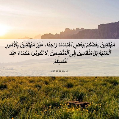 Picture 06 - رُومِيَةَ 12:16 AVD - مُهْتَمِّينَ بَعْضُكُمْ - Bible Verse Picture