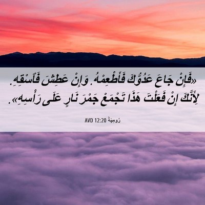 Picture 06 - رُومِيَةَ 12:20 AVD - «فَإِنْ جَاعَ عَدُوُّكَ - Bible Verse Picture