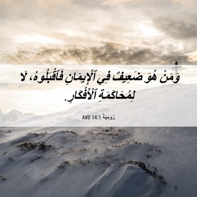 Picture 06 - رُومِيَةَ 14:1 AVD - وَمَنْ هُوَ ضَعِيفٌ فِي - Bible Verse Picture