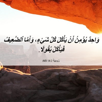 Picture 06 - رُومِيَةَ 14:2 AVD - وَاحِدٌ يُؤْمِنُ أَنْ - Bible Verse Picture