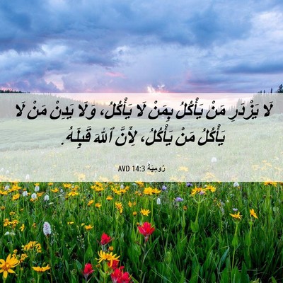 Picture 06 - رُومِيَةَ 14:3 AVD - لَا يَزْدَرِ مَنْ يَأْكُلُ - Bible Verse Picture