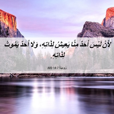 Picture 06 - رُومِيَةَ 14:7 AVD - لِأَنْ لَيْسَ أَحَدٌ - Bible Verse Picture