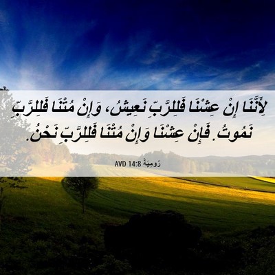 Picture 06 - رُومِيَةَ 14:8 AVD - لِأَنَّنَا إِنْ عِشْنَا - Bible Verse Picture
