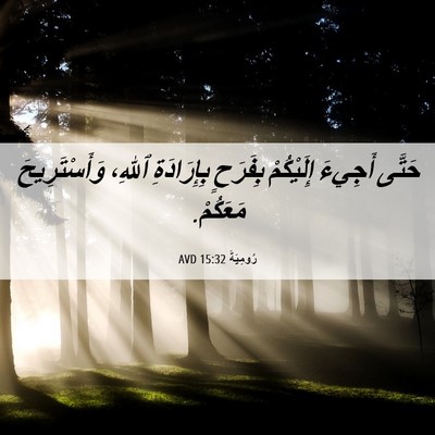 Picture 06 - رُومِيَةَ 15:32 AVD - حَتَّى أَجِيءَ إِلَيْكُمْ - Bible Verse Picture