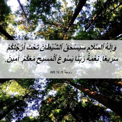 Picture 06 - رُومِيَةَ 16:20 AVD - وَإِلَهُ ٱلسَّلَامِ - Bible Verse Picture