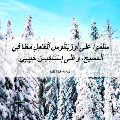 Picture 06 - رُومِيَةَ 16:9 AVD - سَلِّمُوا عَلَى - Bible Verse Picture