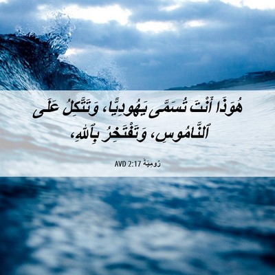Picture 06 - رُومِيَةَ 2:17 AVD - هُوَذَا أَنْتَ تُسَمَّى - Bible Verse Picture