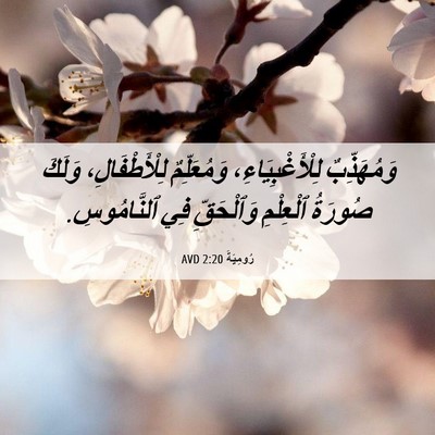 Picture 06 - رُومِيَةَ 2:20 AVD - وَمُهَذِّبٌ - Bible Verse Picture