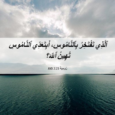 Picture 06 - رُومِيَةَ 2:23 AVD - ٱلَّذِي تَفْتَخِرُ - Bible Verse Picture
