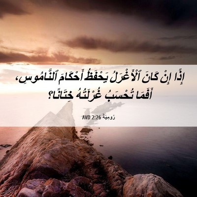 Picture 06 - رُومِيَةَ 2:26 AVD - إِذًا إِنْ كَانَ - Bible Verse Picture