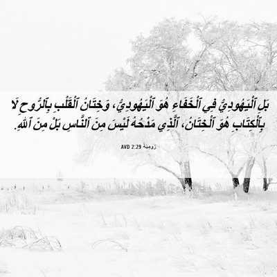 Picture 06 - رُومِيَةَ 2:29 AVD - بَلِ ٱلْيَهُودِيُّ فِي - Bible Verse Picture