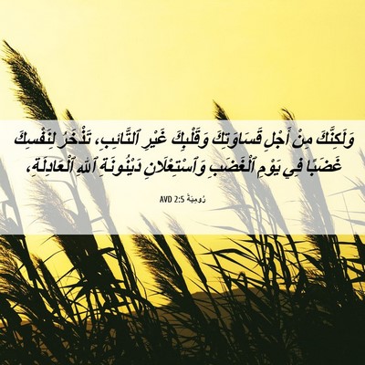Picture 06 - رُومِيَةَ 2:5 AVD - وَلَكِنَّكَ مِنْ أَجْلِ - Bible Verse Picture