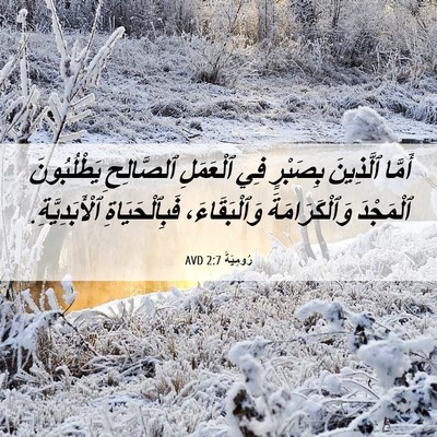 Picture 06 - رُومِيَةَ 2:7 AVD - أَمَّا ٱلَّذِينَ بِصَبْرٍ - Bible Verse Picture