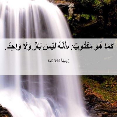 Picture 06 - رُومِيَةَ 3:10 AVD - كَمَا هُوَ مَكْتُوبٌ: - Bible Verse Picture