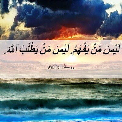 Picture 06 - رُومِيَةَ 3:11 AVD - لَيْسَ مَنْ يَفْهَمُ. - Bible Verse Picture