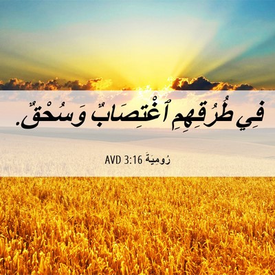 Picture 06 - رُومِيَةَ 3:16 AVD - فِي طُرُقِهِمِ ٱغْتِصَابٌ - Bible Verse Picture