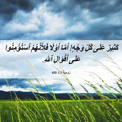 Picture 06 - رُومِيَةَ 3:2 AVD - كَثِيرٌ عَلَى كُلِّ - Bible Verse Picture